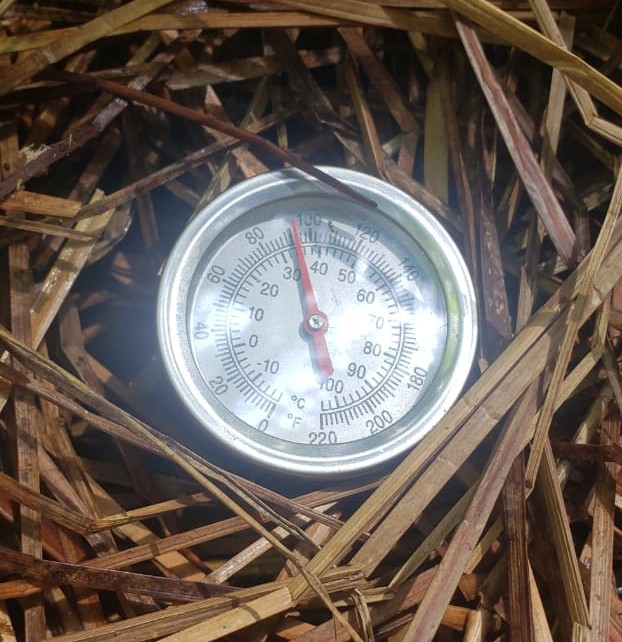 Projeto de compostagem comunitária